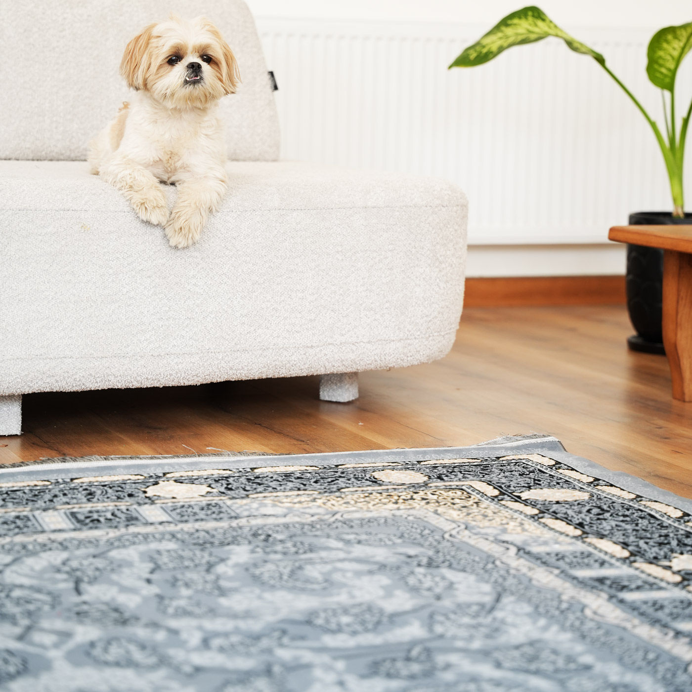 فرش ماشینی 700 شانه تراکم 2550 طرح دایان دودی